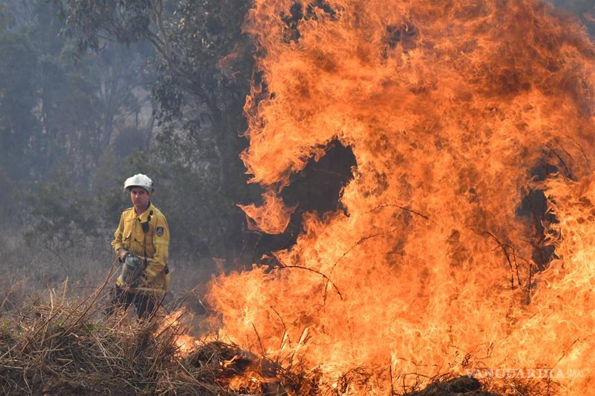 Detienen a varios niños implicados en ocho del centenar de incendios que sofocan a Australia