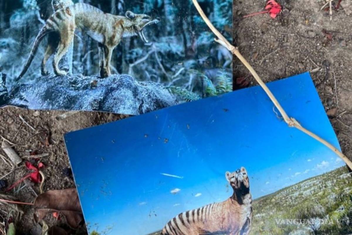 Carlos Name es tendencia en redes por intentar capturar supuesto lobo de Tasmania (video)