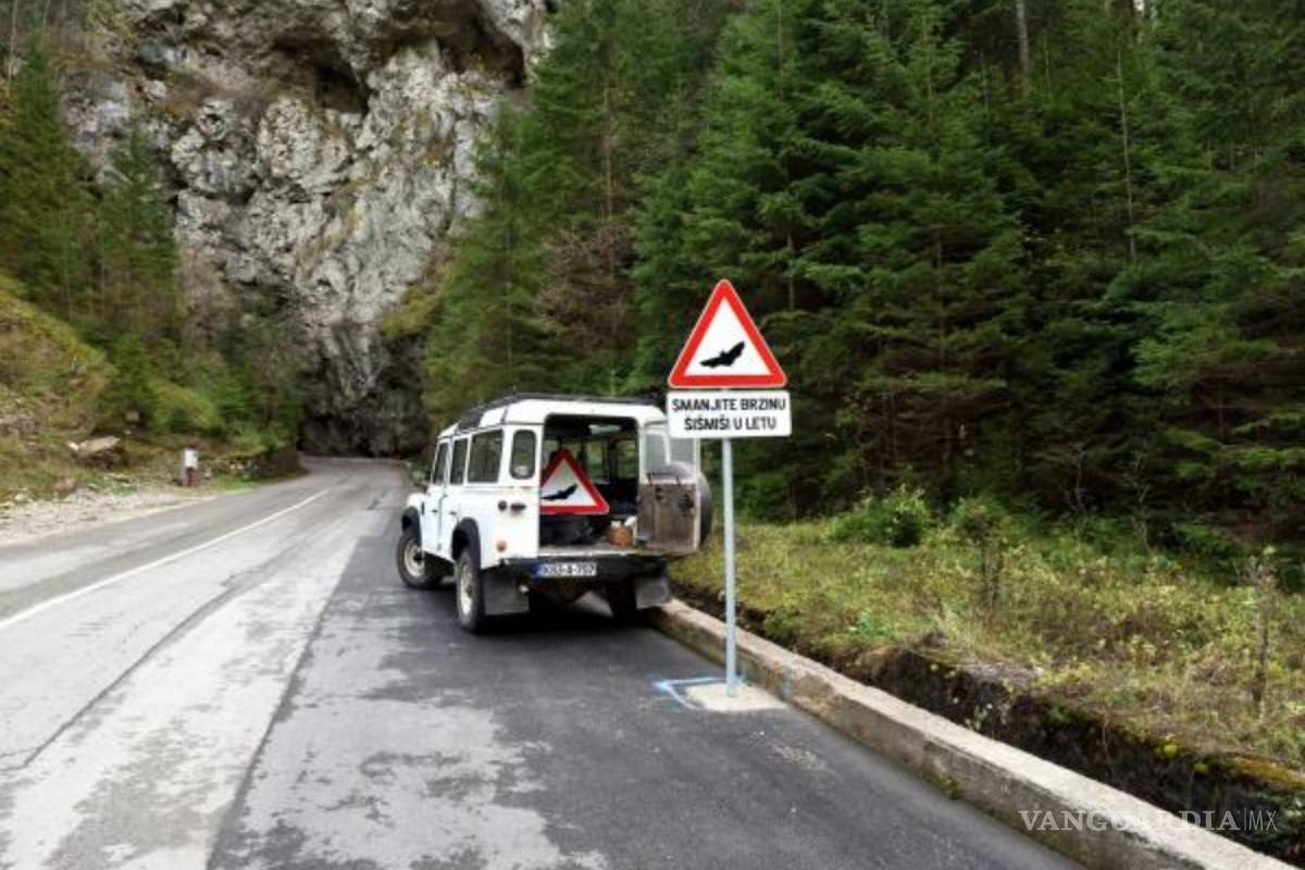 $!Insólita señal de tráfico advierte a conductores en Bosnia del vuelo de murciélagos