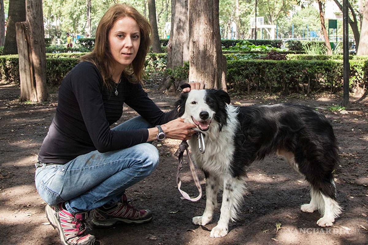 Los perros también van al psicólogo