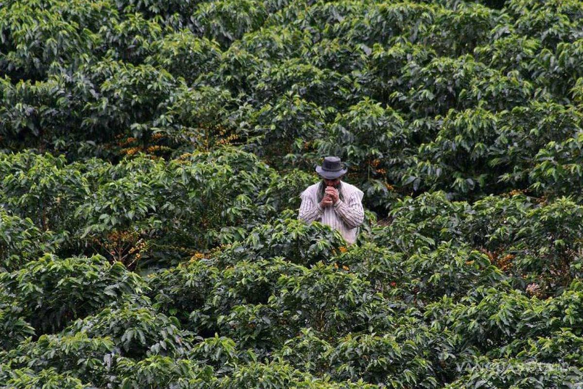 Promete EU aportar 3 mil millones de dólares a Fondo Verde del Clima