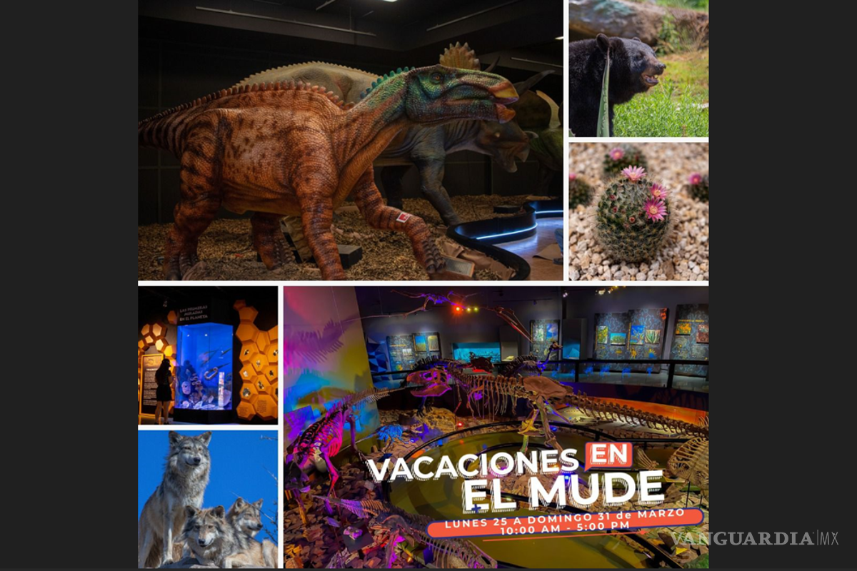 Saltillo: ¿Qué te parecen unas vacaciones entre dinosaurios? ¡Anímate!