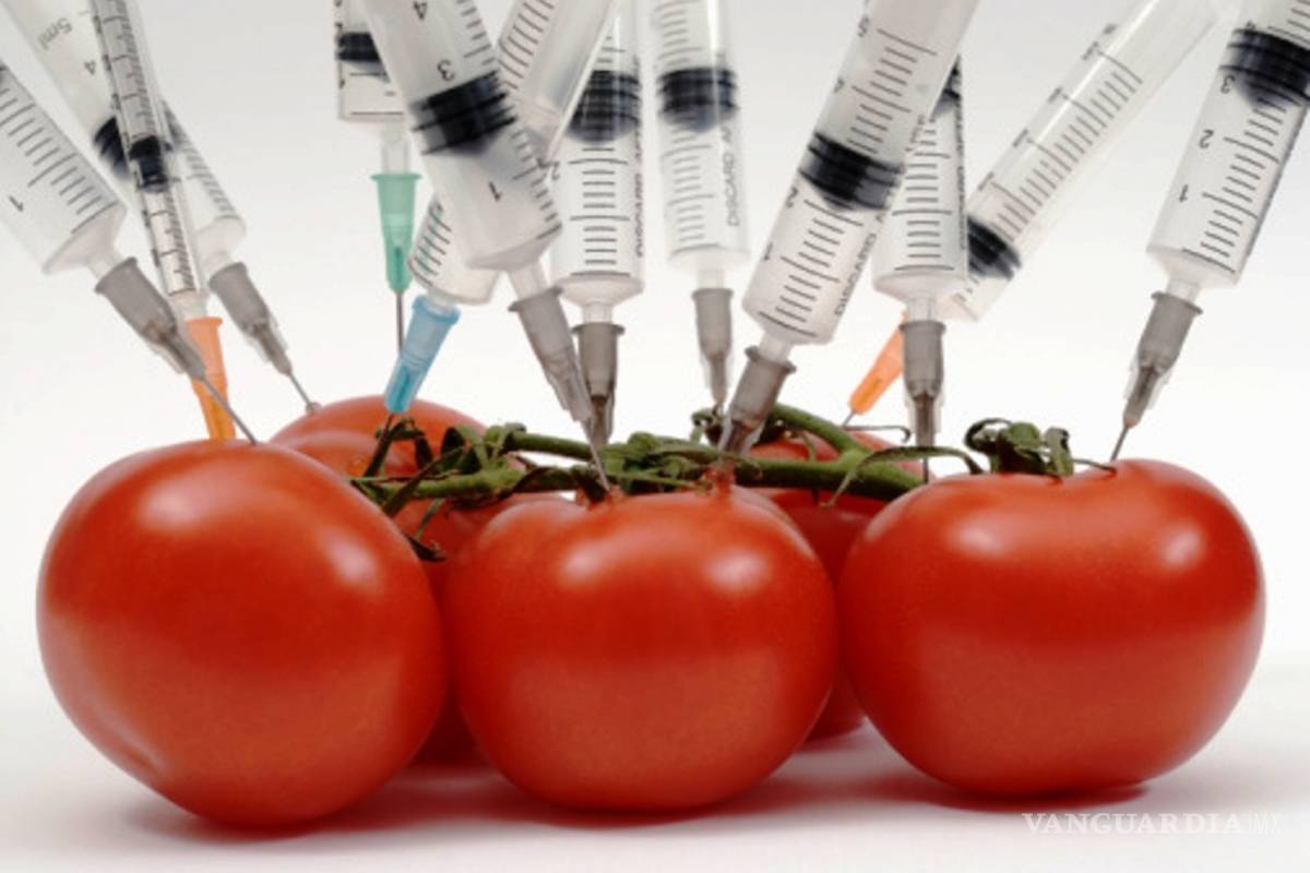 En México consumimos estos 7 alimentos transgénicos