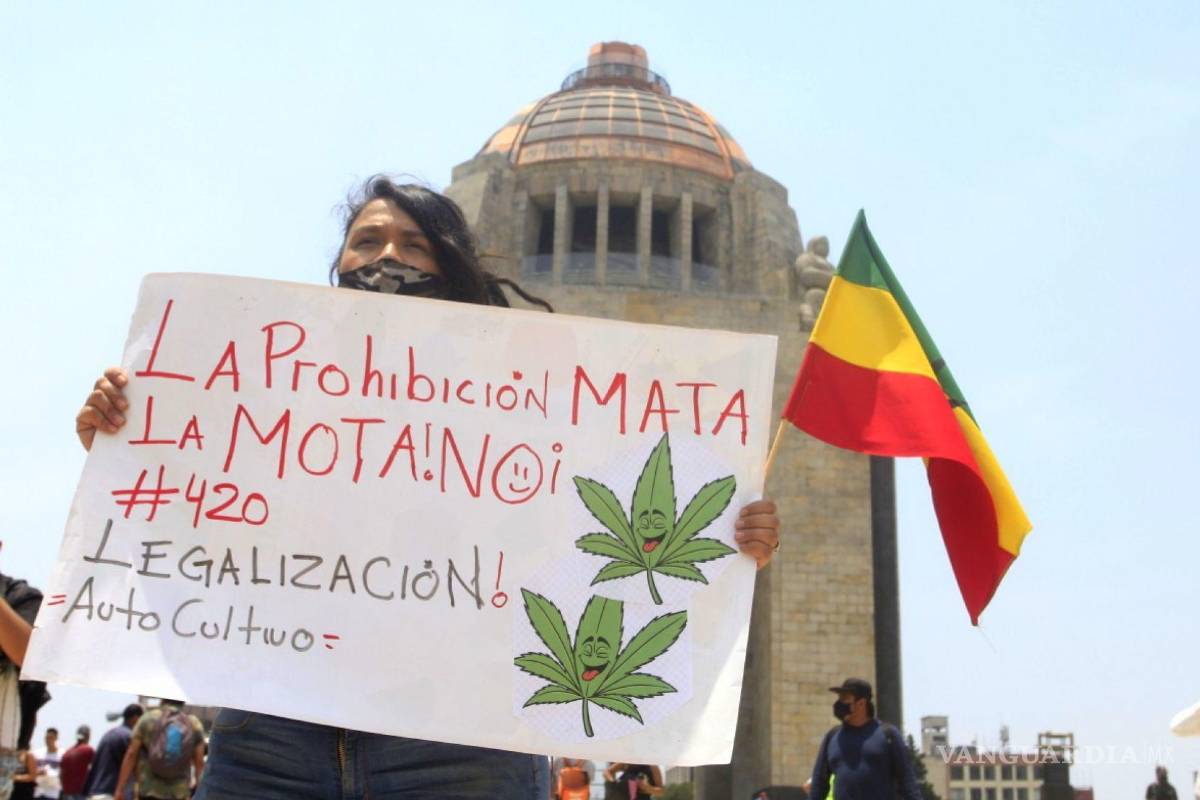 Acuerda Senado en impulsar ley de cannabis