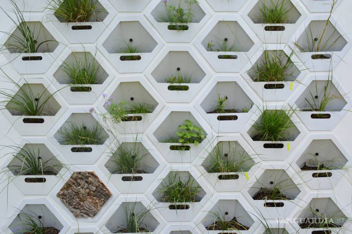 $!Pon a tu casa una piel verde