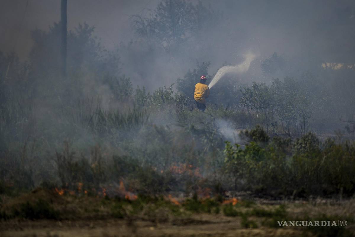 Noruega vaticina que el humo por los incendios forestales en Canadá llegará al país