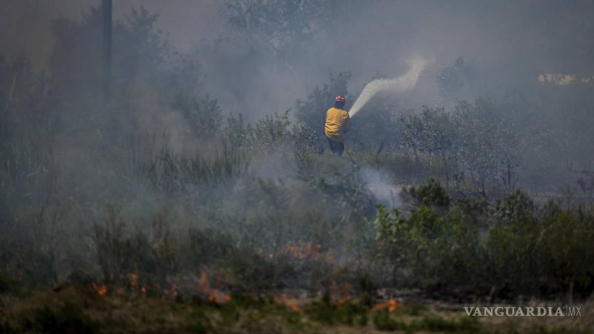 Noruega vaticina que el humo por los incendios forestales en Canadá llegará al país