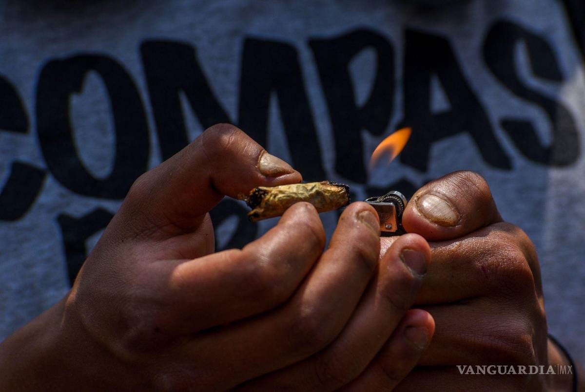 $!Si bien muchas personas consumen cannabis o mariguana ya sea por placer o para relajarse, al hacerlo conlleva riesgos a salud.