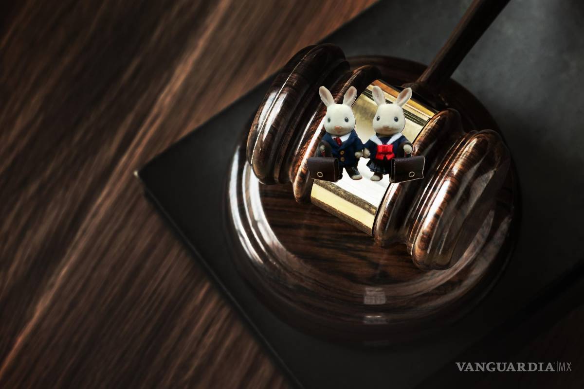 Jueces, magistrados y ternurines. La convocatoria para la elección del Poder Judicial