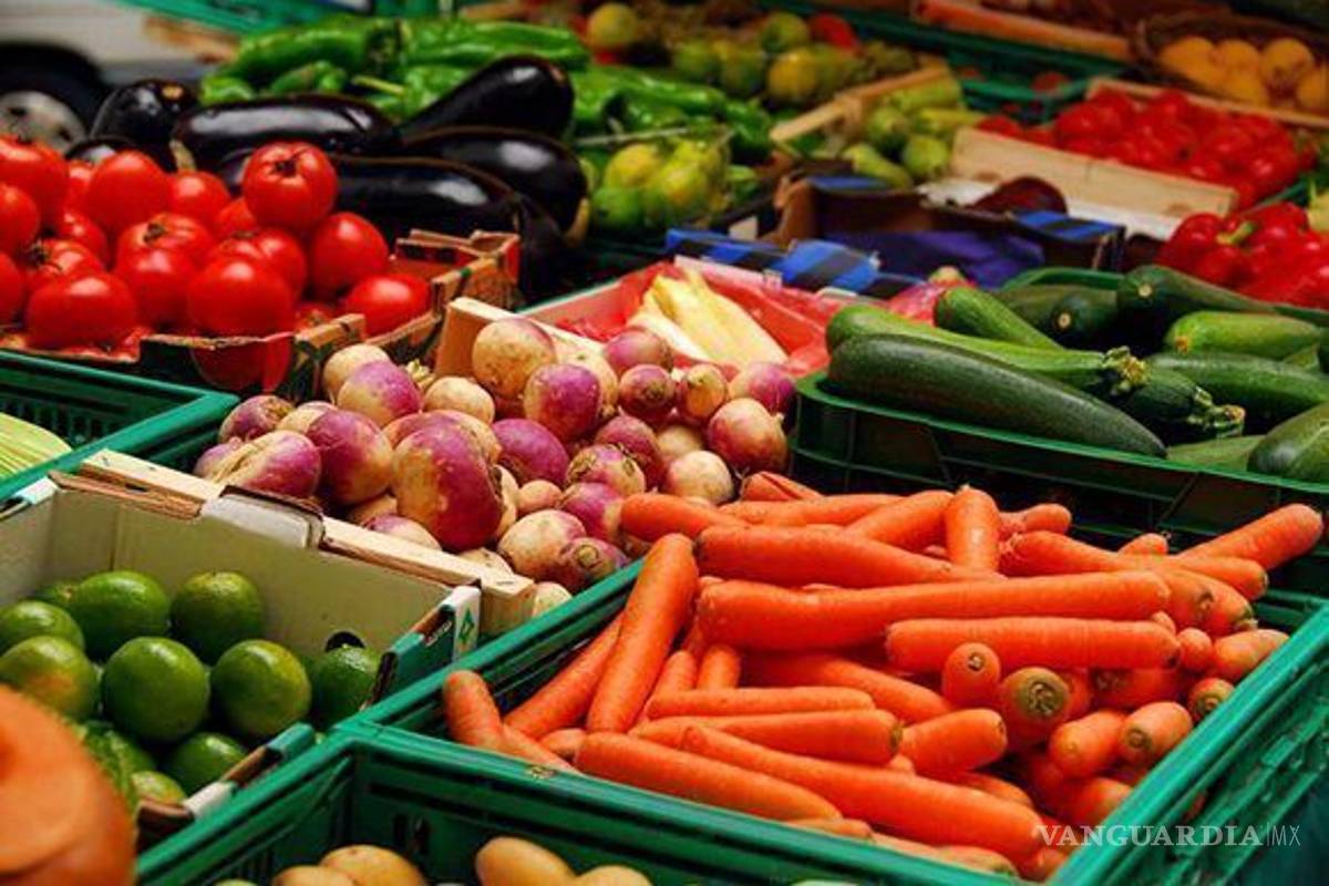 México importa la mitad de los alimentos que consume, alertan