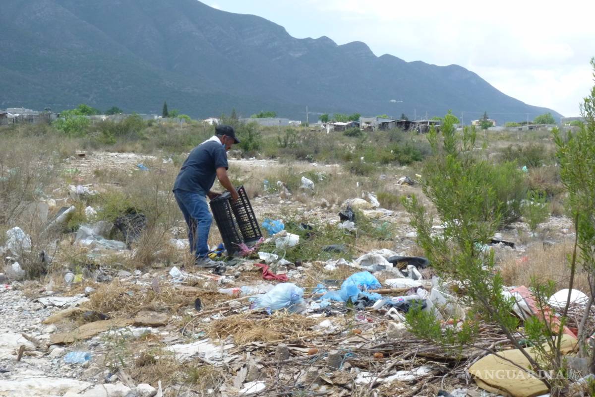 Unos vecinos sucios; la plaga de la Morelos