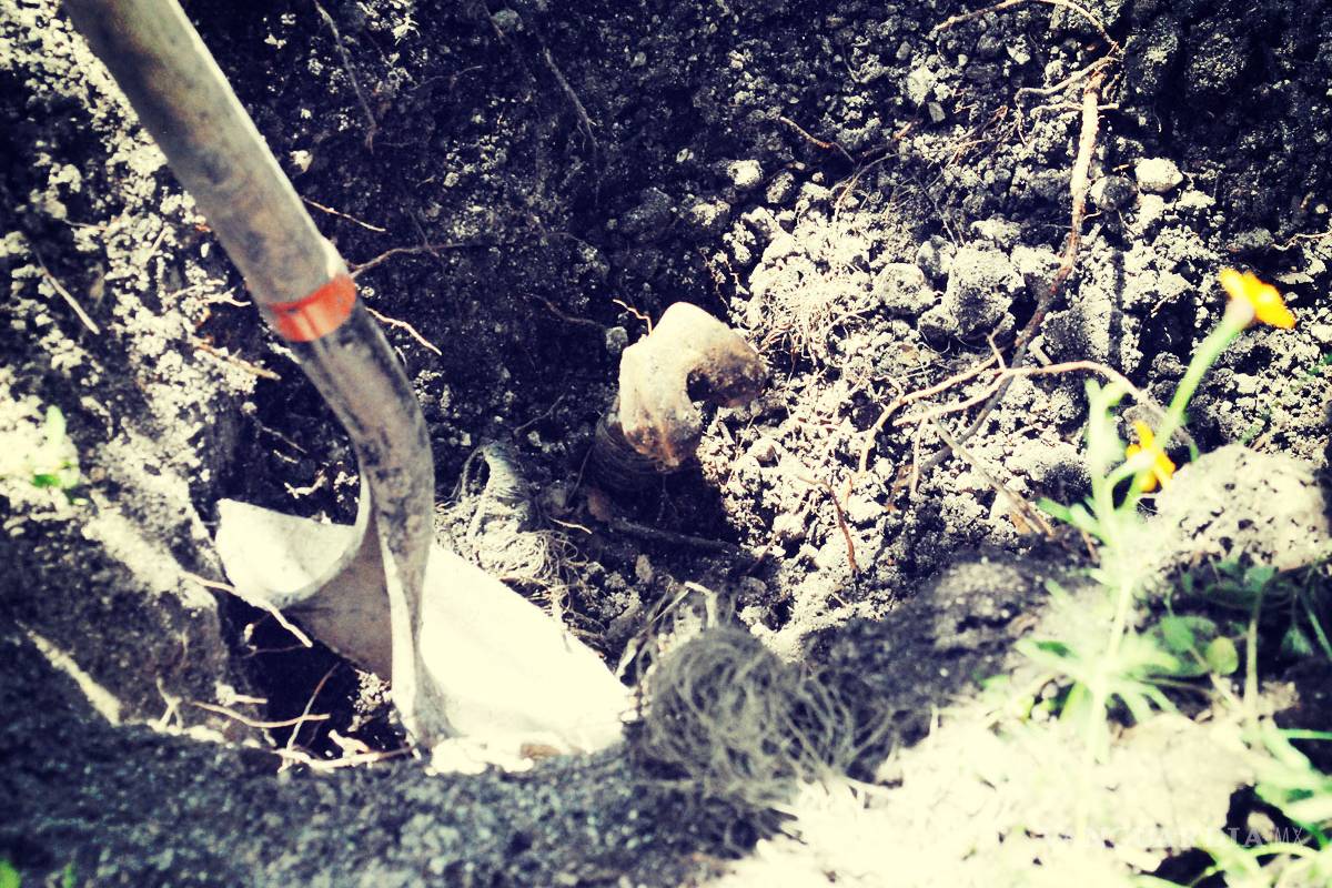 Localizan restos de 70 personas en fosa de Nuevo Léon, identifican a 25