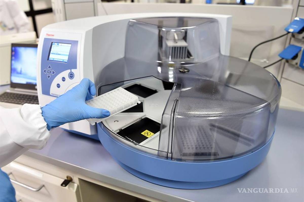 Científicos descubren que la inmunidad contra el SARS-CoV-2 podría ser corta