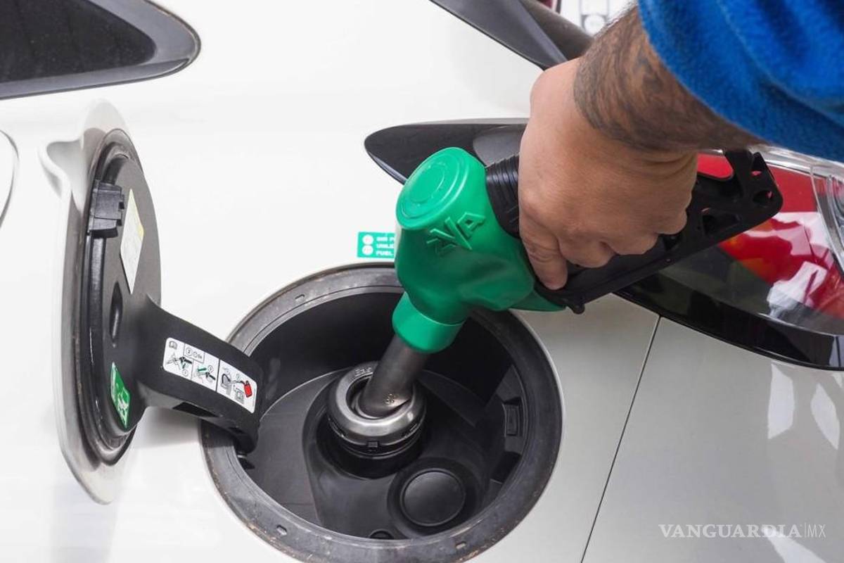 Se ubica precio promedio de la gasolina en $23.59 por litro: Profeco