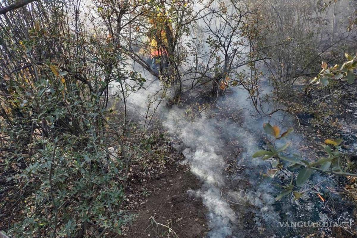 ‘Pirómano’ causa incendio en Sierra de Zapalinamé en Saltillo; fue visto quemando leña