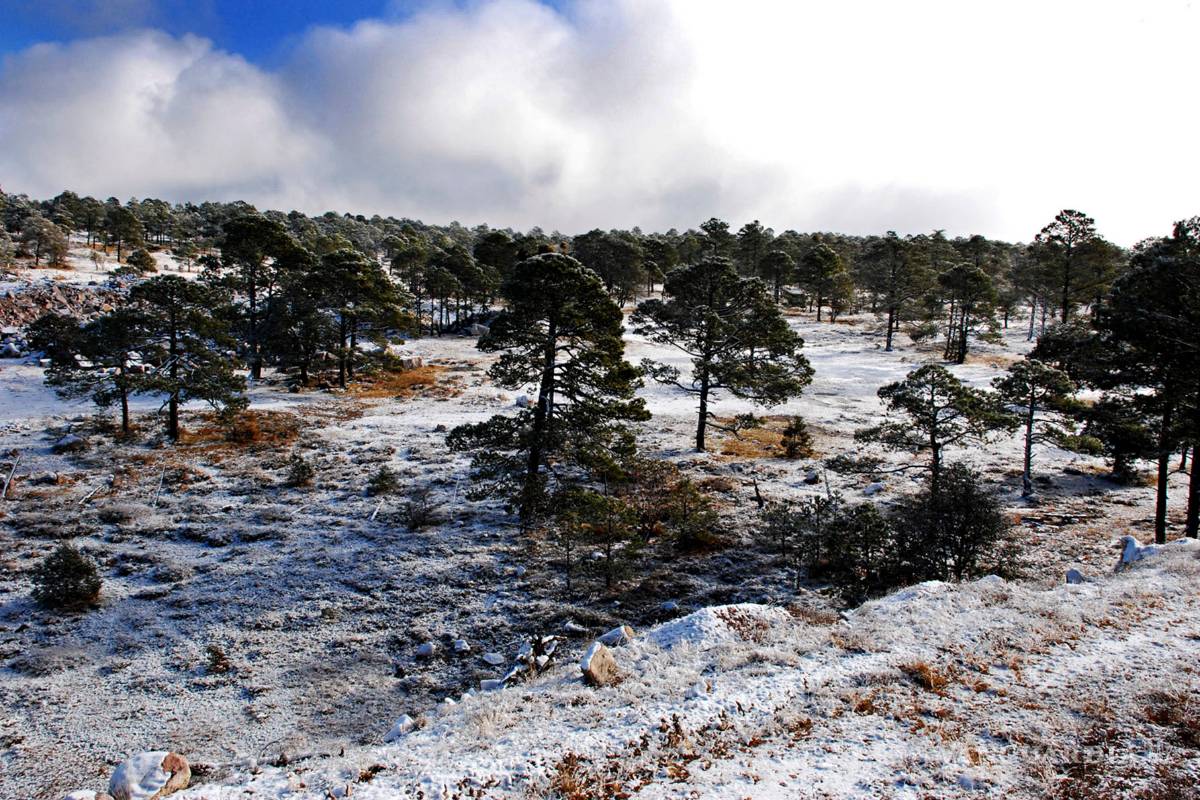 Se registran 16 grados bajo cero en La Rosilla, Durango