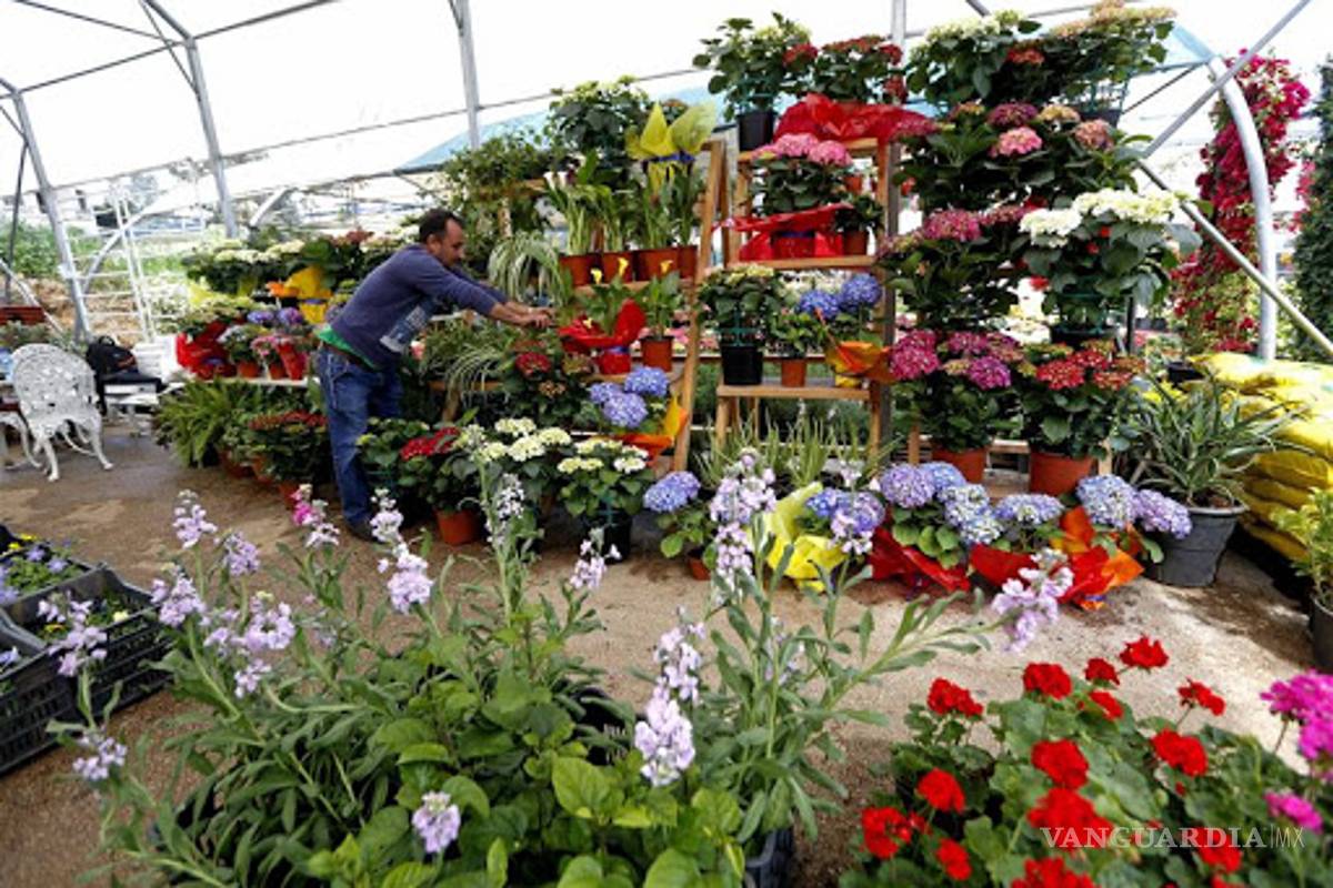 En Saltillo, ni visitas al cementerio, ni festejos al niño y a la madre