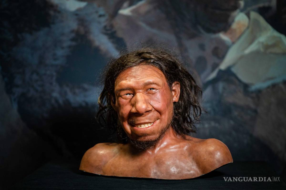 Reconstruyen primer rostro de un neandertal en PB