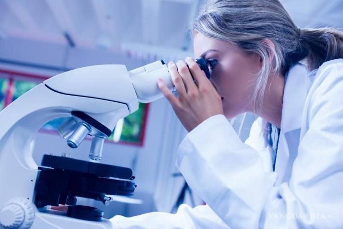 Investigadores identifican 26 compuestos naturales que bloquean al COVID-19