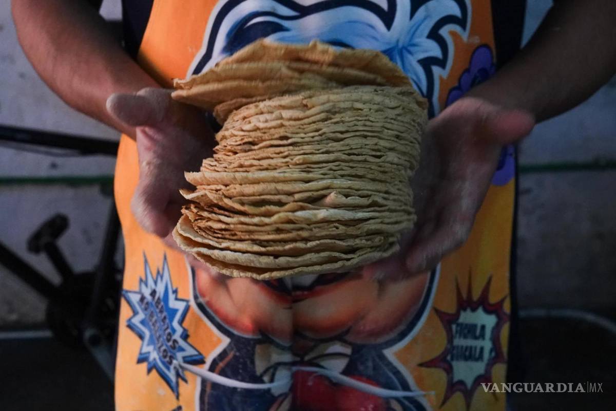 Pide industria de la tortilla piso parejo a Profeco