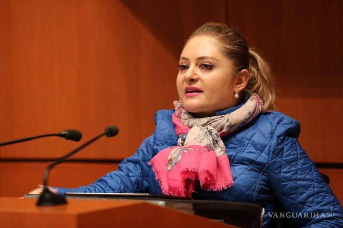 Impugnarán la Ley de Austeridad