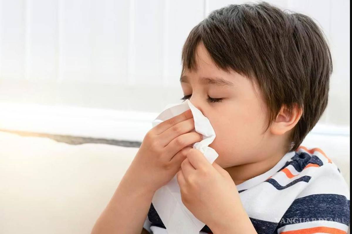 No hay ‘supergripe’ en Coahuila, aclara Secretaría de Salud; analizan posibles casos