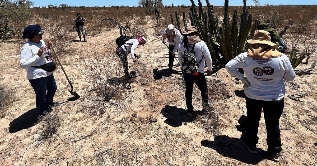 Colectivos encuentran restos humanos en el Estado de México