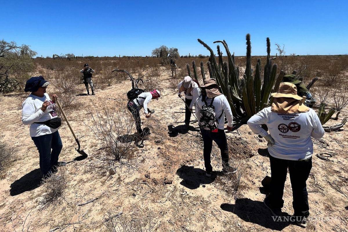 Colectivos encuentran restos humanos en el Estado de México