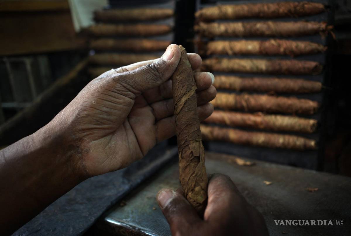 $!En la imagen, un torcedor trabaja en la confección de un tabaco, en la fábrica de puros La Corona, en La Habana (Cuba).