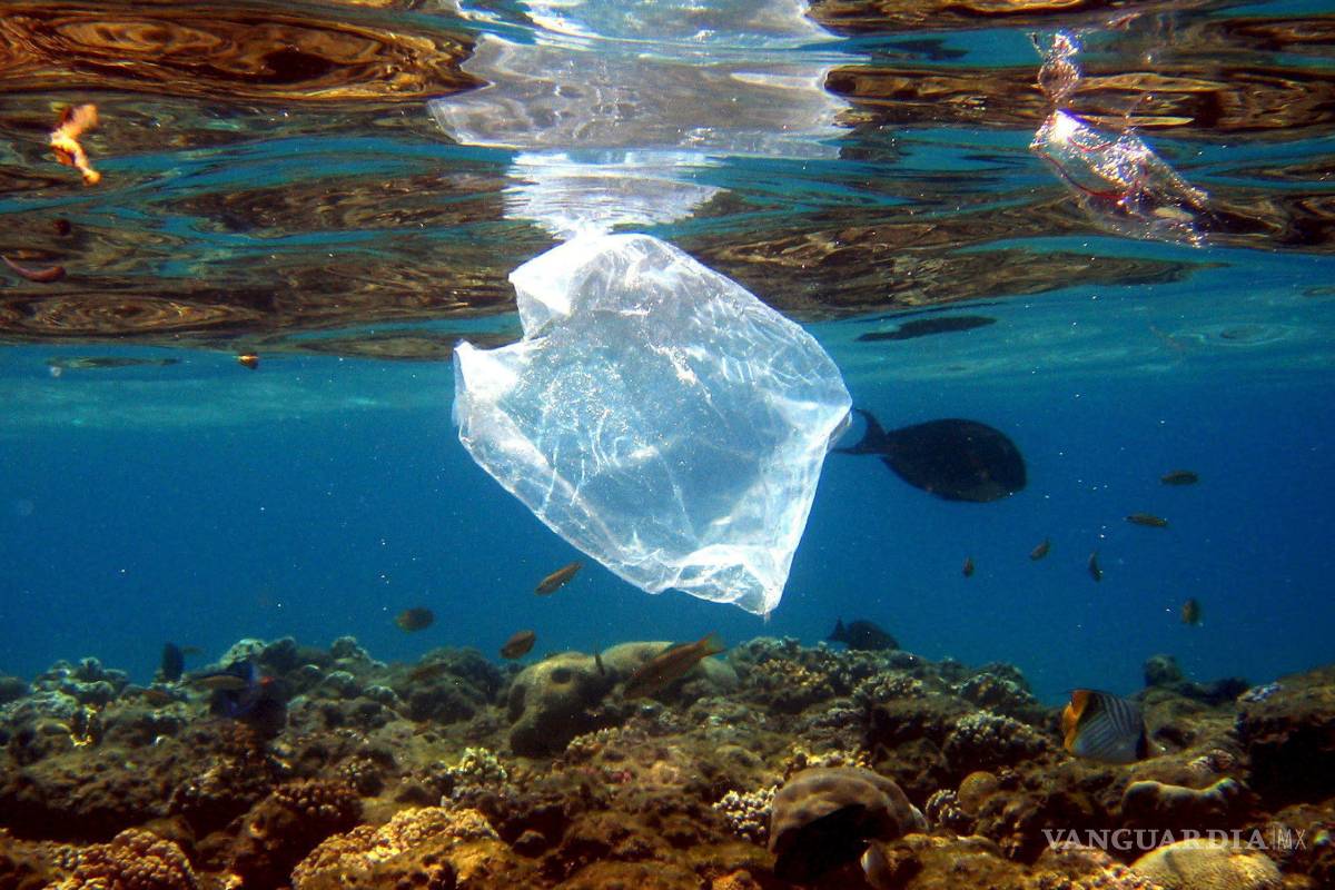 Océano contiene 150 millones de toneladas de plástico; cinco países pueden limpiarlo