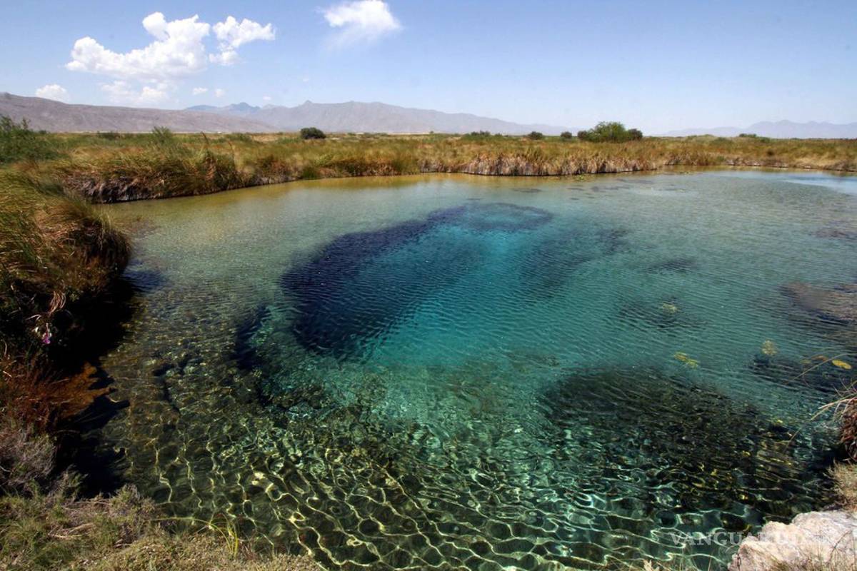 Pronatura propone reglamento para proteger Cuatro Ciénegas