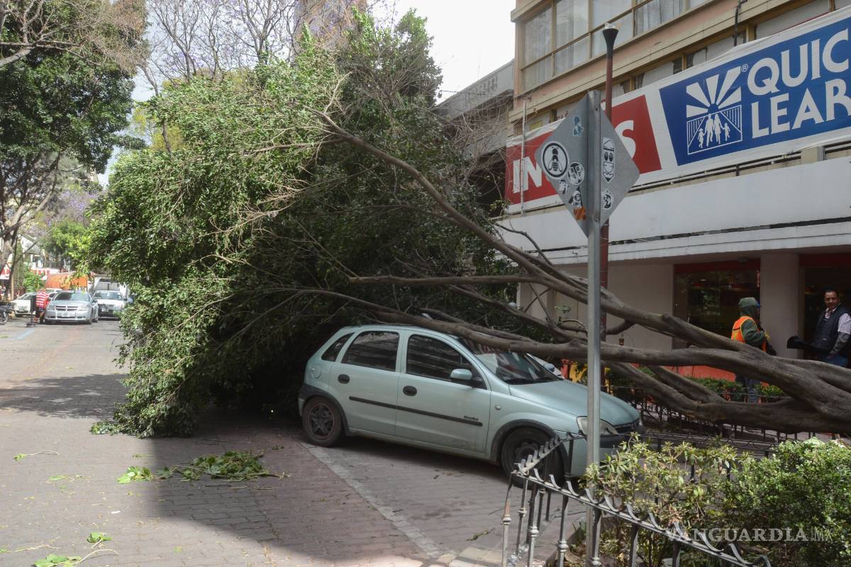 Dejan vientos en el País tres personas muertas