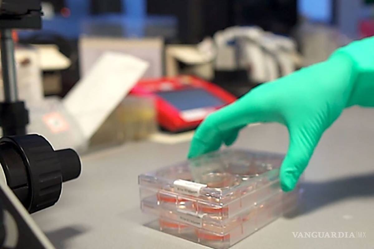 Johnson &amp; Johnson empezará a probar vacuna de la COVID-19 en humanos en julio