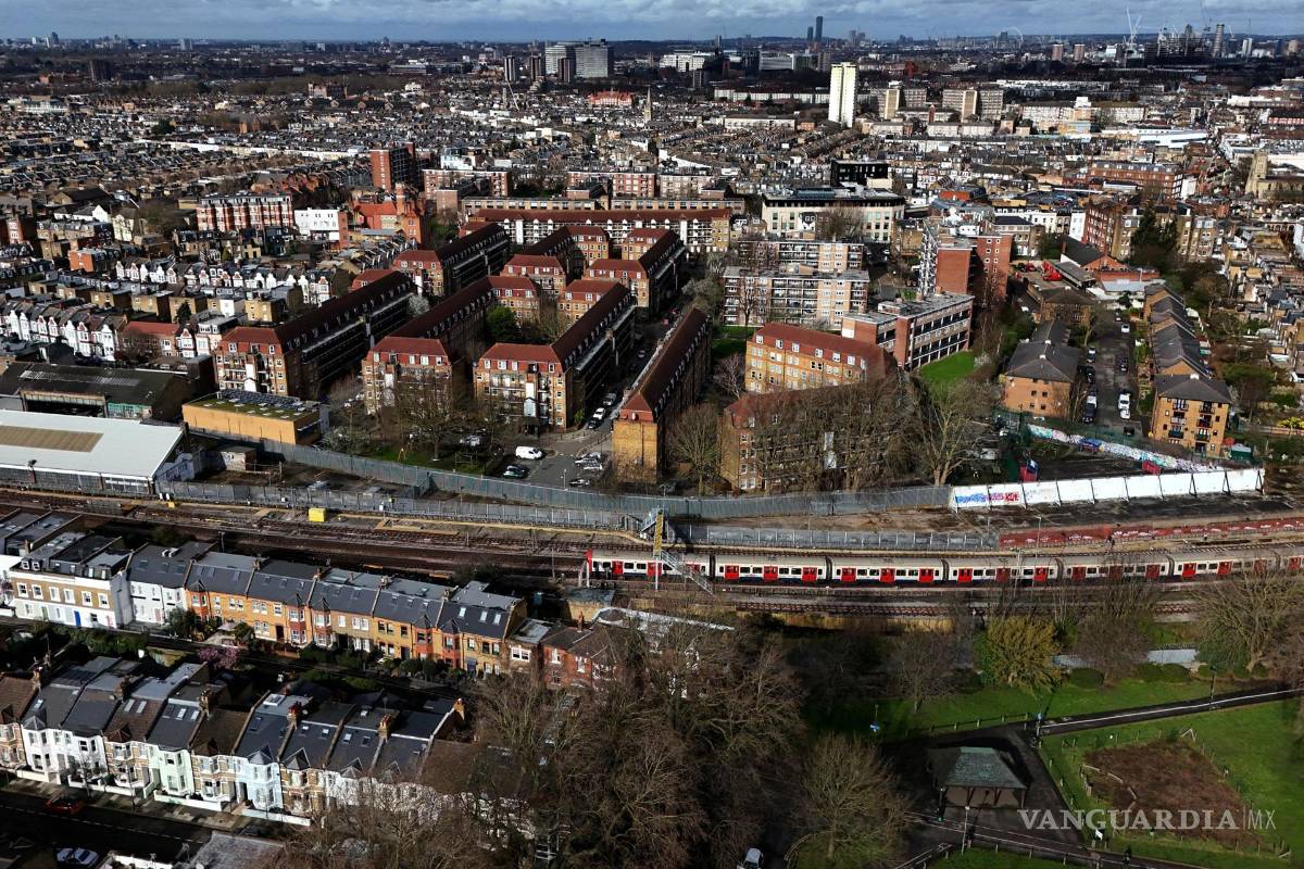 ‘Tiny Forests’, bosques urbanos que buscan ser una solución verde para oxigenar las grandes ciudades