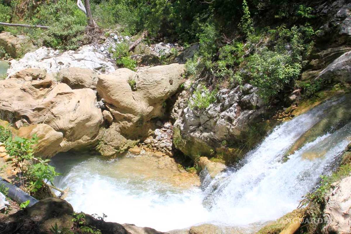 Rebasan cifra del año pasado visitas a parajes