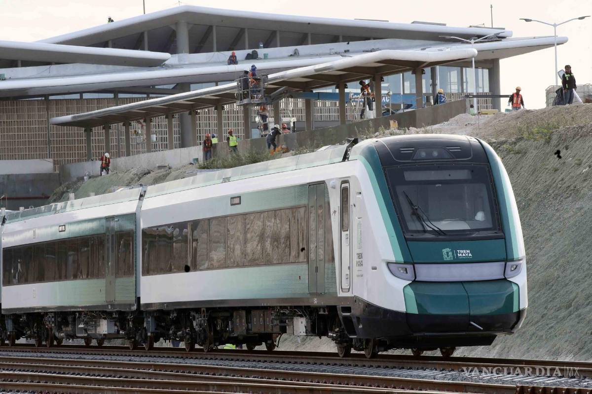 Incumplimientos ambientales del Tren Maya amenazan a ejido en Quintana Roo