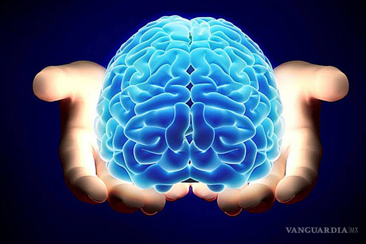 ¿Cuál es tu hemisferio cerebral dominante?