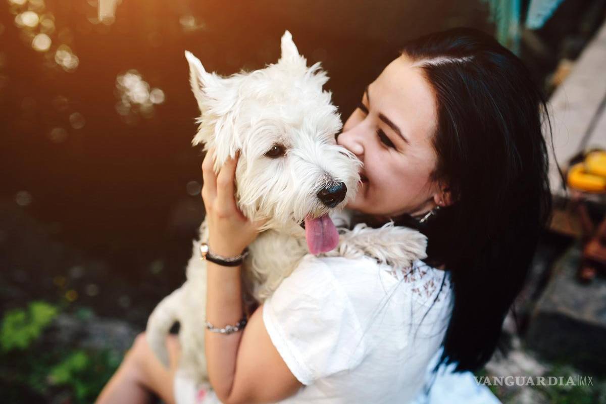 Piden endurecer las penas contra maltrato animal: activista