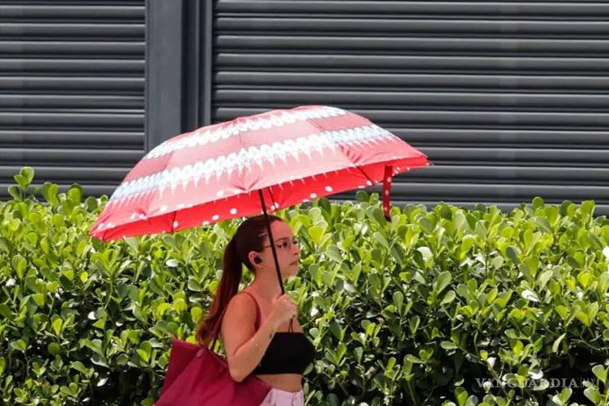 Temperaturas de hasta 60 grados en Brasil, sufren terrible ola de calor