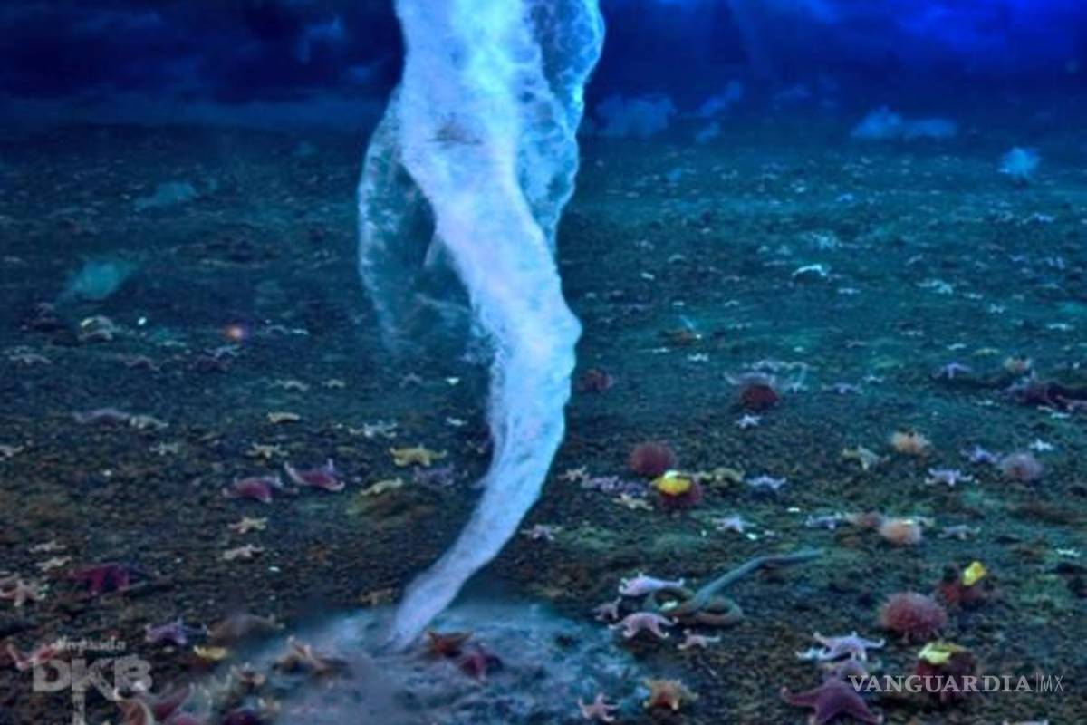 ¿Qué es el ‘dedo de la muerte’ y por qué es tan letal en los mares?