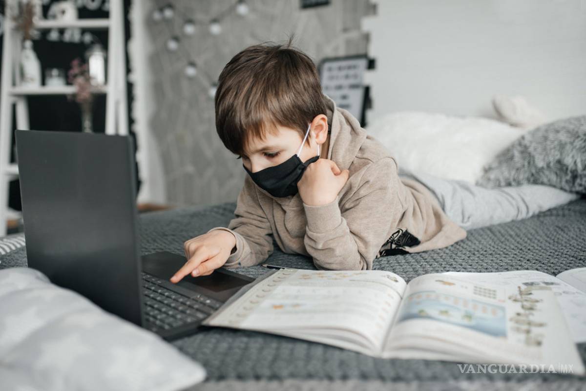 Clases en línea cambiará el cerebro y aprendizaje de los niños