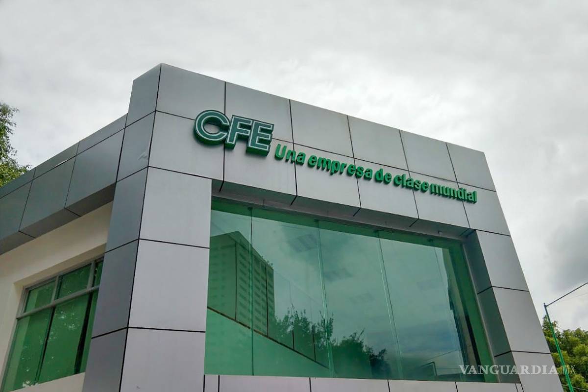 Denuncian hostigamiento de funcionarios de la CFE a empresas que buscan venta de carbón