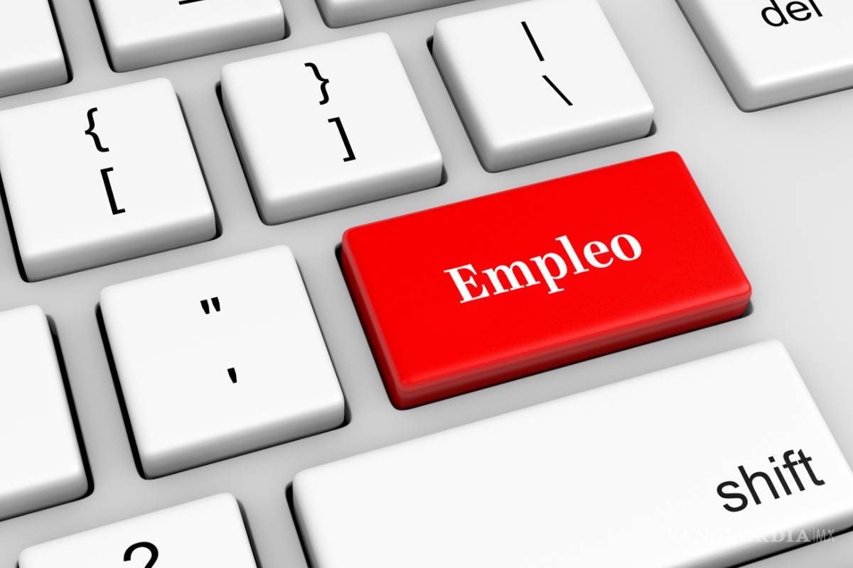 ¿Buscas empleo por Internet?, tips para evitar ser víctima de engaños