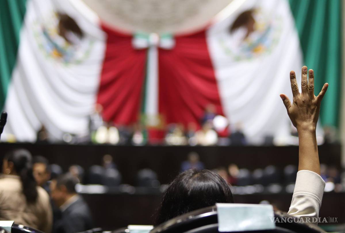 $!La mayoría de Morena y aliados aprobaron la desaparición de este organismo autónomo.