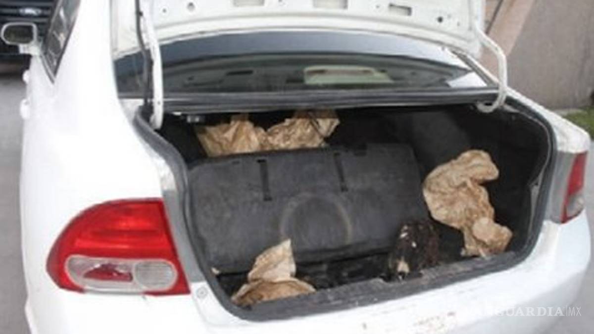 Trafican águilas rojinegras en peligro de extinción