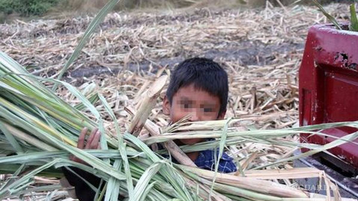 Campos de Coahuila, trabajados por explotación de jornaleros; CNDH emite recomendación