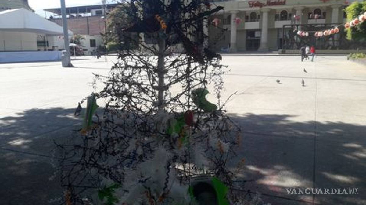 Queman árbol con imágenes de los 43 normalistas