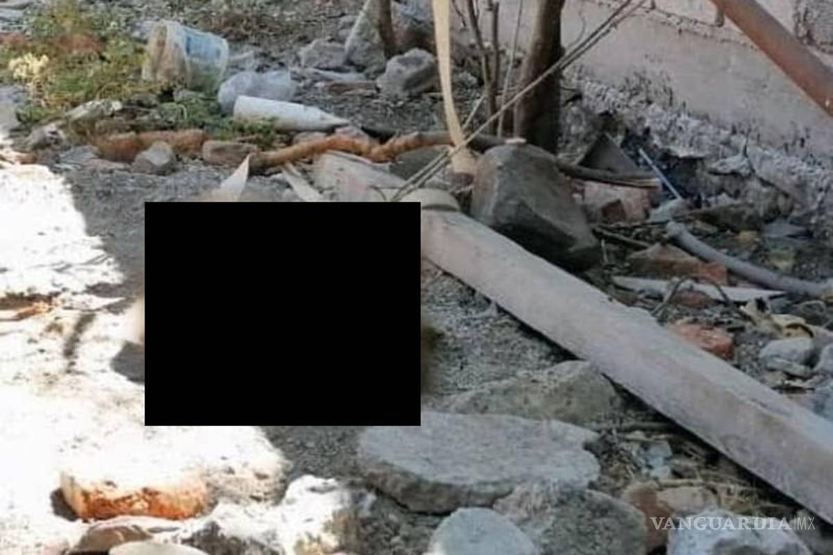 Detienen a mujer por dejar morir a su perro; estuvo amarrado por días