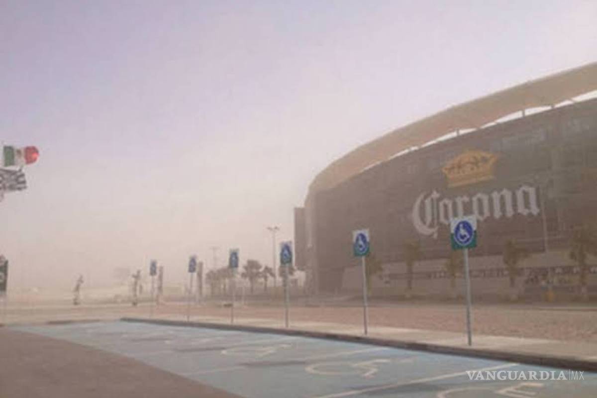 Campos agrícolas abandonados en La Laguna son causantes de terregales