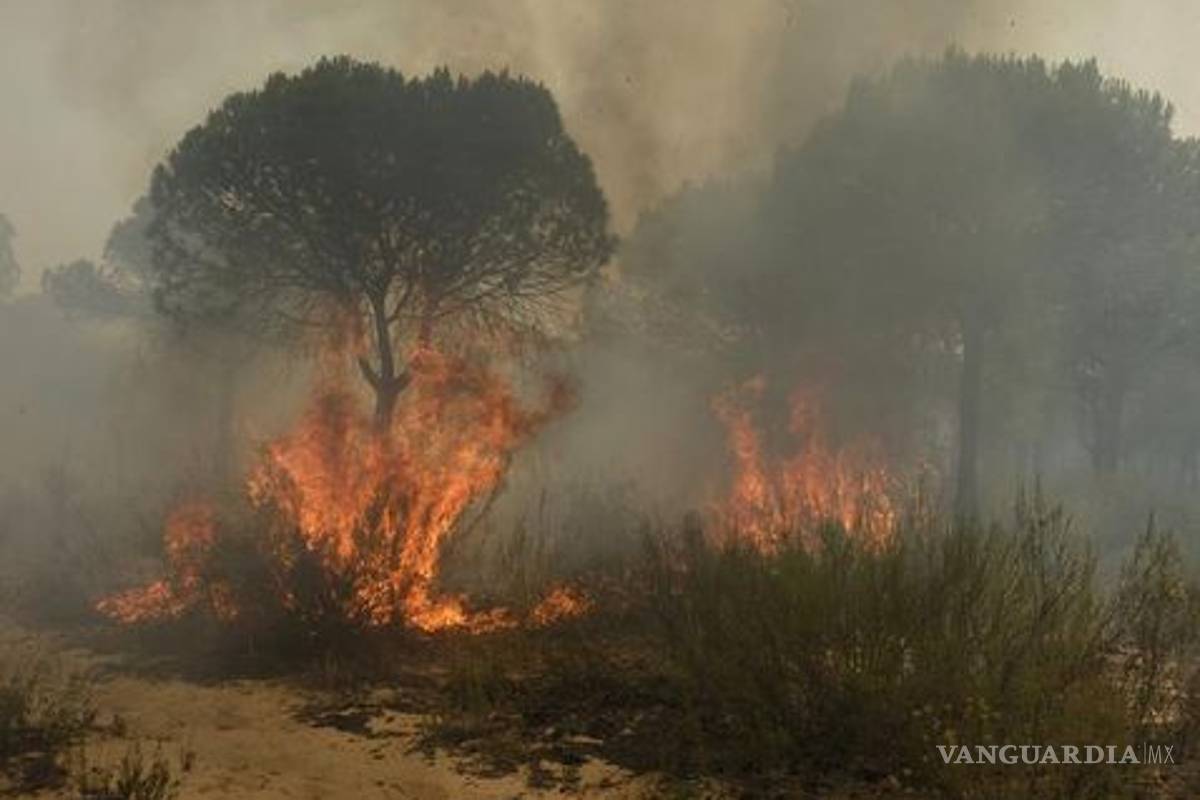 Desalojan a dos mil personas por incendio en Parque Nacional de España